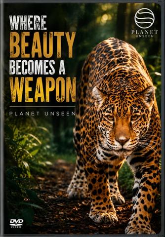 [Kép: Where-Beauty-Becomes-A-Weapon.jpg]