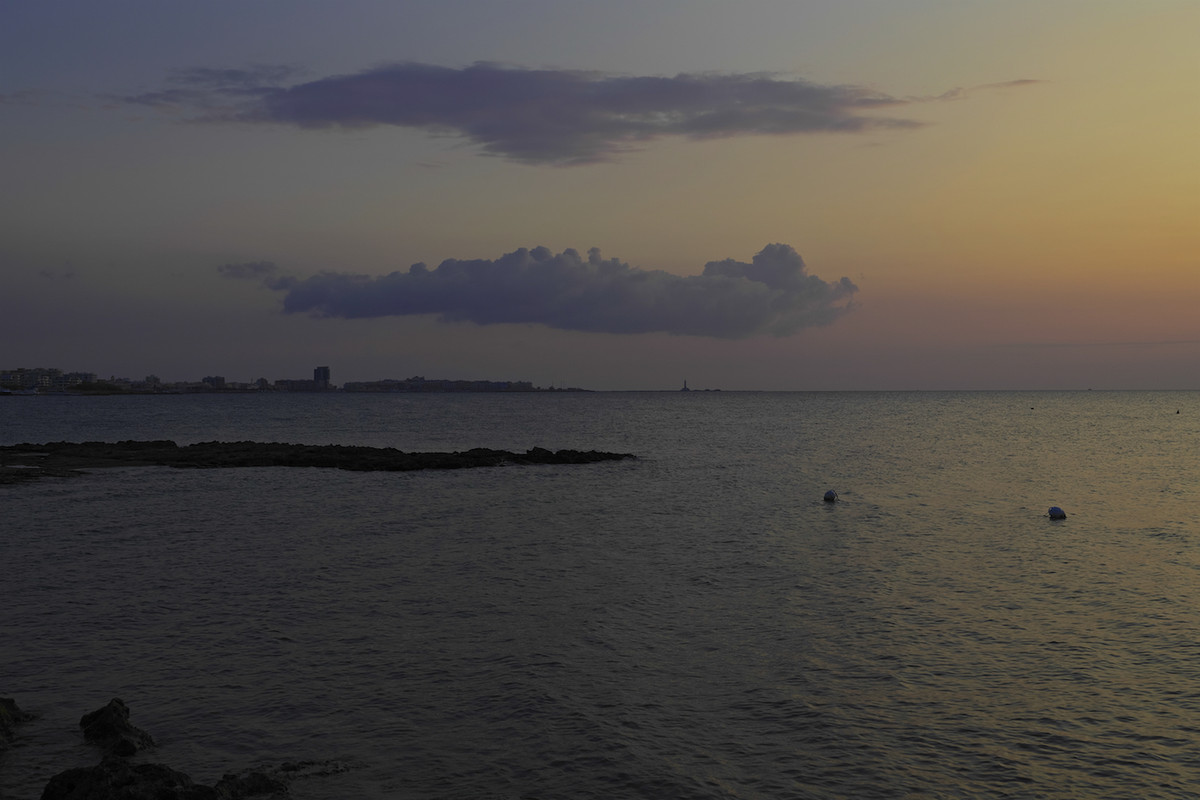 15 P1000250