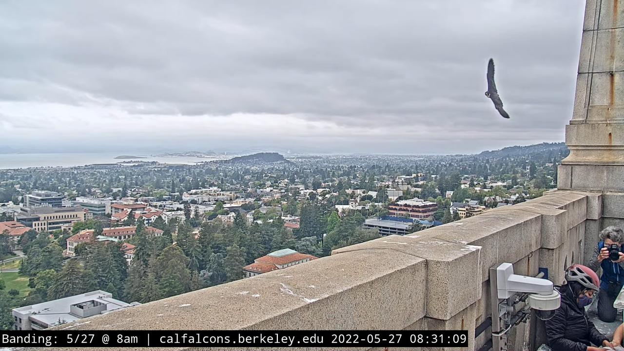 5-27-22 Banding (Raw West Footage) 21-19 screenshot