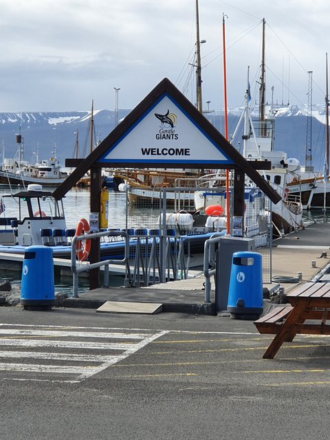 DIA 10: HUSAVIK A HVERIR - Islandia en tiempos de Covid. Y con Camper! (2)