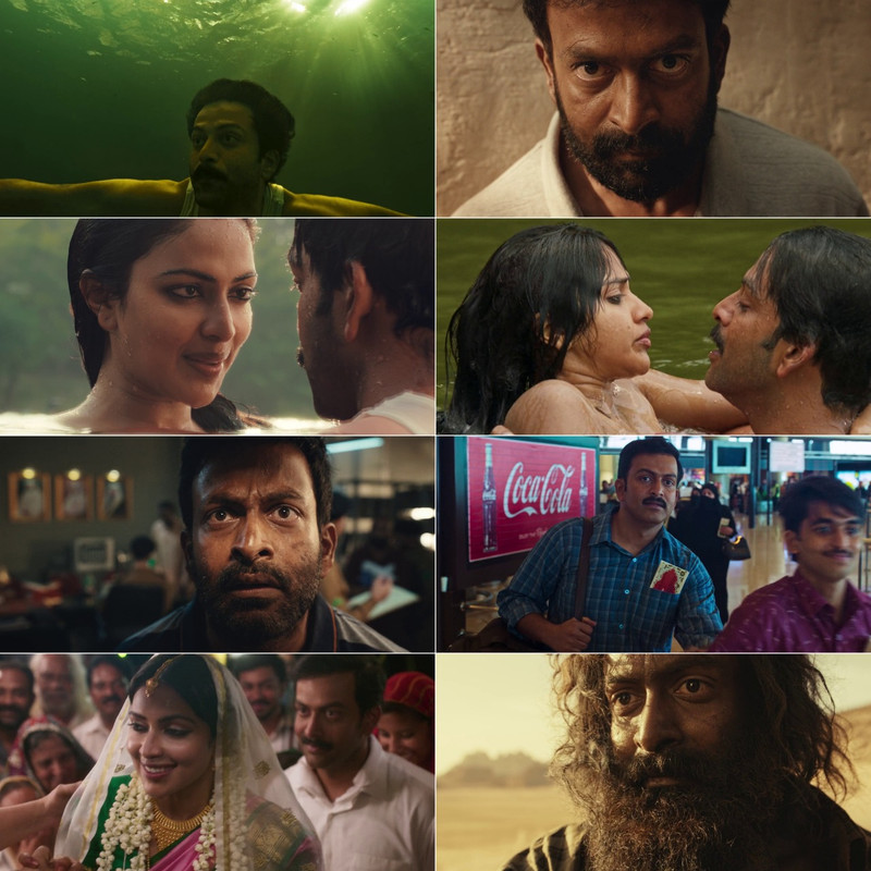 Aadujeevitham The Goat Life (2024) Full Movie HD ESub screenshot