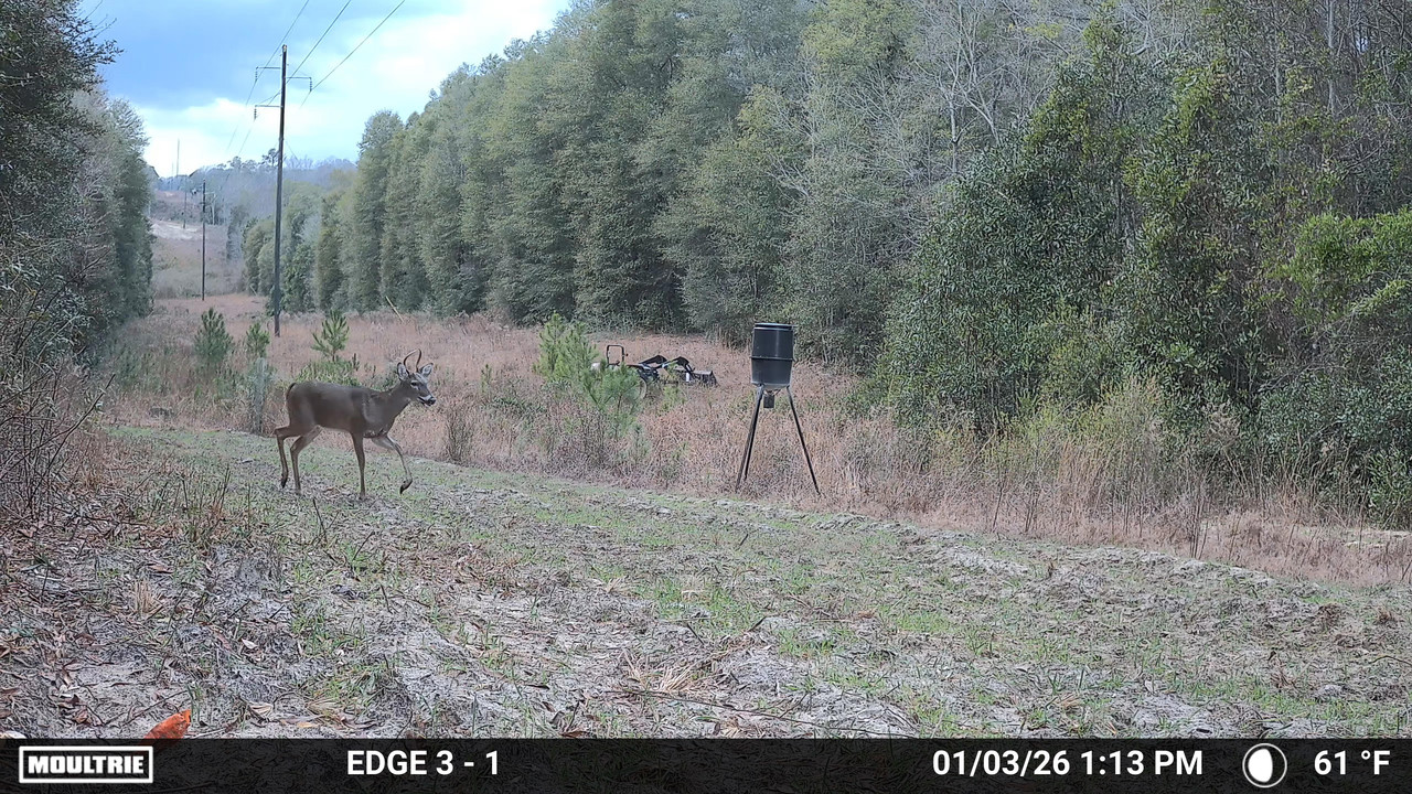 Temp 2604581 20260103191428 pir 20260103 131340 5 16 0