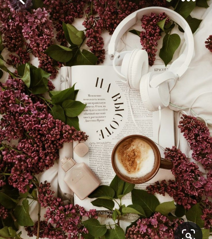 Screenshot_20230426_220312_Pinterest