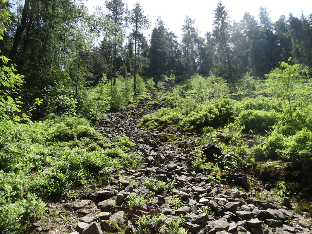 187 - DSC01481 (TomaszK)