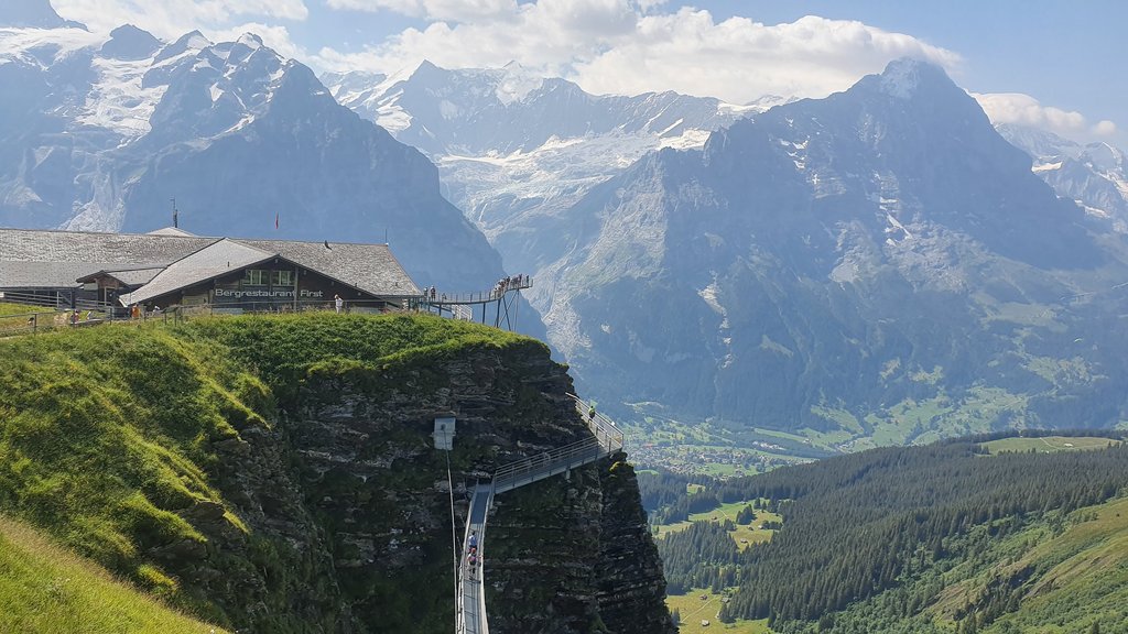 50 sombras del verde en Suiza y Alemania - Blogs de Suiza - SUBIDA AL FIRST- LAGO BACHALPSEE- BAJADA EN TROTIBIKE (1)