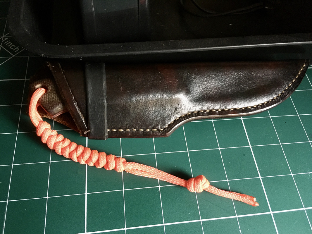 E01226DD-BA53-4AB0-8781-B52D0240960B