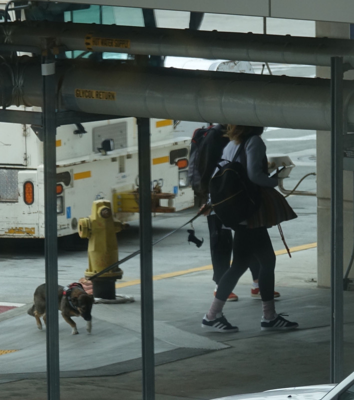 emmawatson-photogallery.blogspot.com (20)