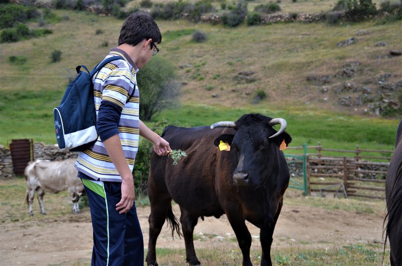 EMBALSE PUENTES VIEJAS, FORTINES Y ANIMALES-24-5-2014-MADRID - Paseando por España-1991/2016 (38)