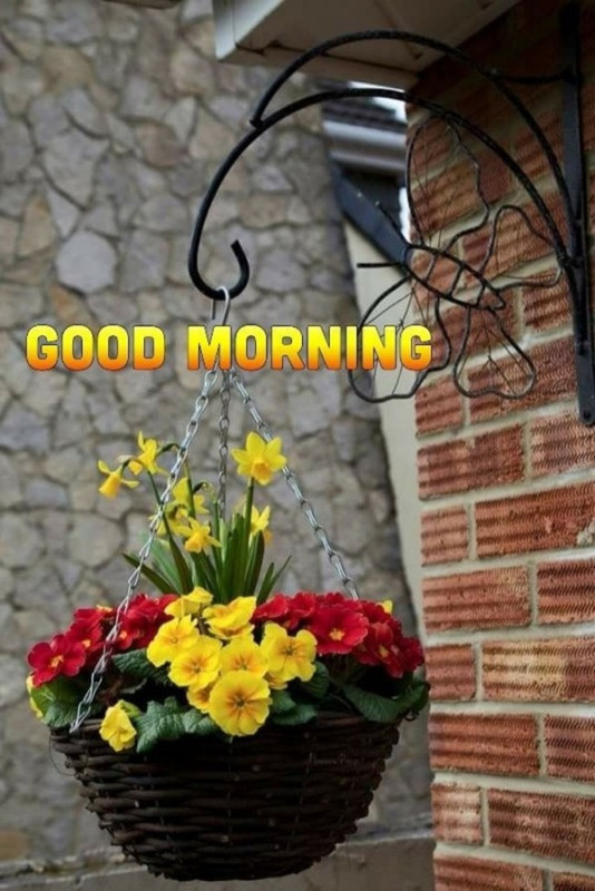 An den Beitrag angehängtes Bild: https://i.postimg.cc/Jh7MGPTP/oie-1274452l-Uj-Eb-UQ7.jpg