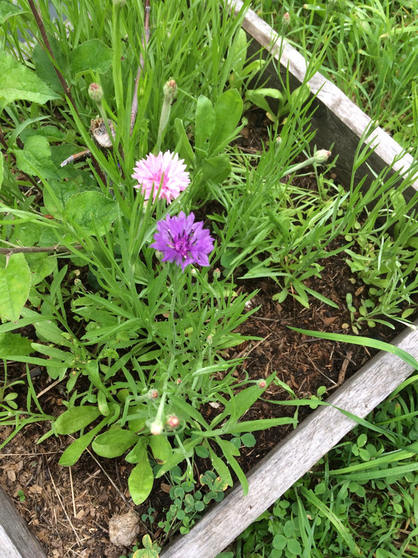 91DAFC7B-2FFA-4F4E-AB60-21086CFECB20