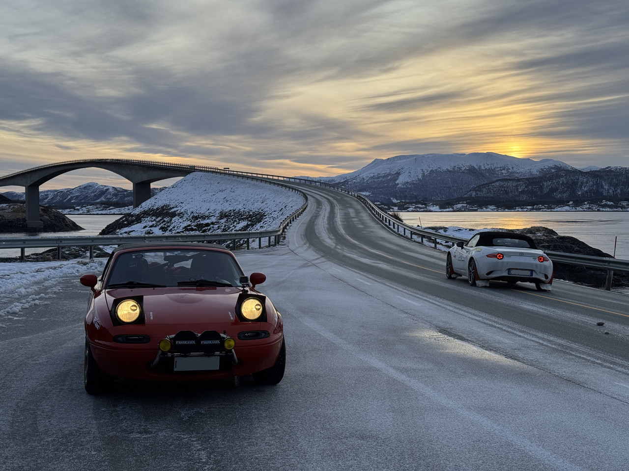 [Immagine: IMG-9368.jpg]