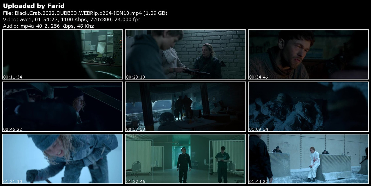 Black-Crab-2022-DUBBED-WEBRip-x264-ION10.jpg