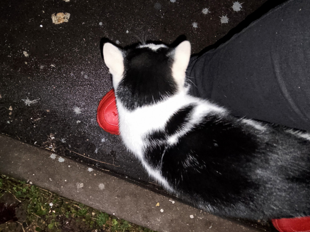 Текст абзаца