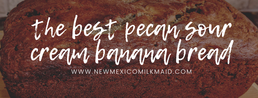 The Best Pecan Sour Cream Banana Bread