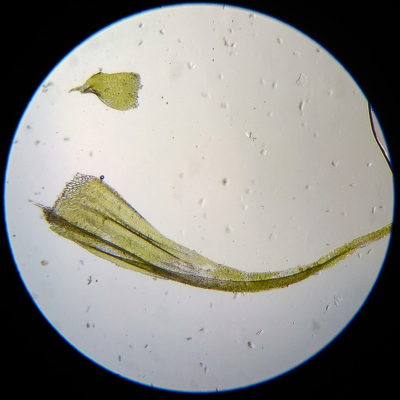 IMG 20250614 122548 HDR