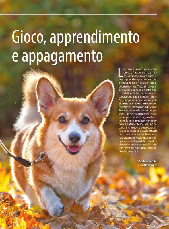 Il M C Mar-Apr 2024 (6)