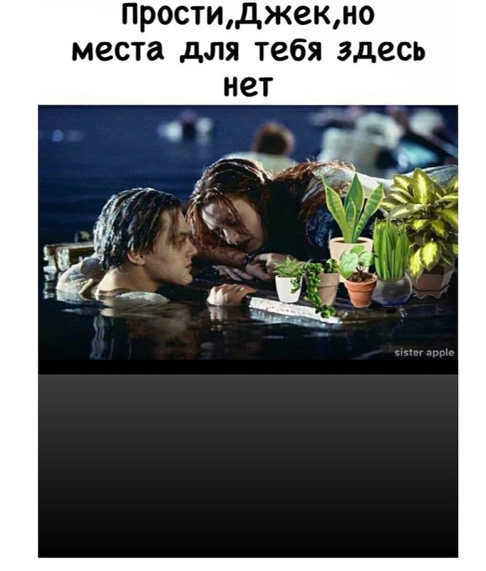 Screenshot-20220518-083011-ru-yandex-sea