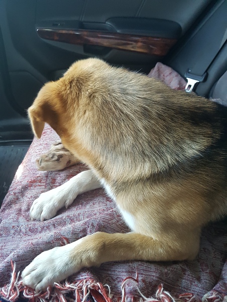 44043F51-1C14-4A5B-BEE4-DF092C71B37A