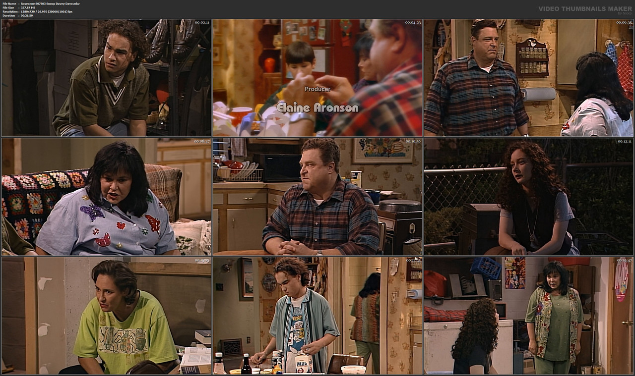 Roseanne S07E03 Snoop Davey Dave.mkv