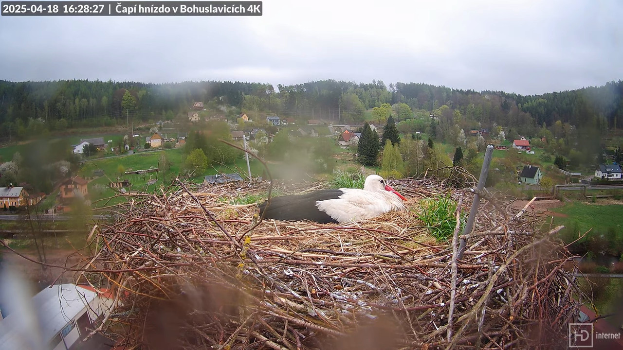 Tiešraidē no uzņēmuma KARA stārķa skursteņa Bohuslavicē pie Trutnovas 12-59-59 screenshot