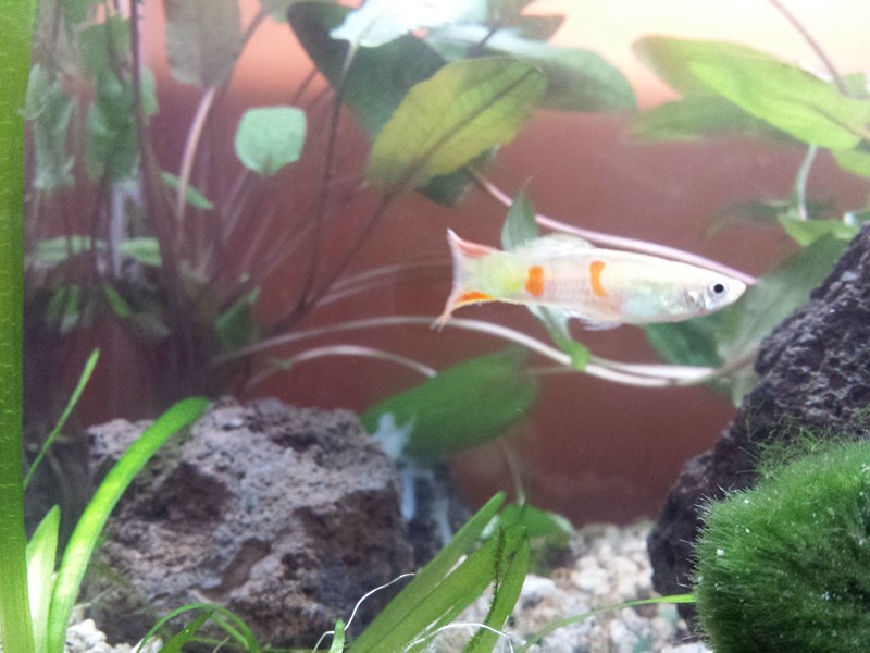 20130917_152442 (Copia)