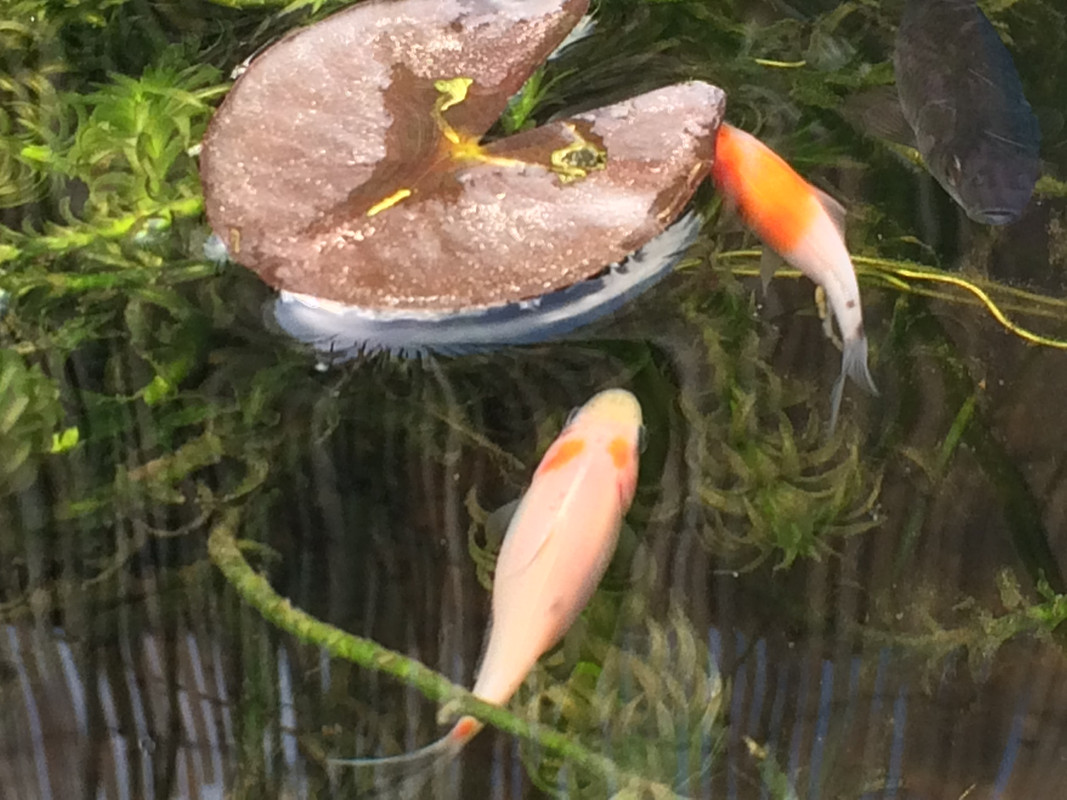 EC6DBB98-5989-4997-B642-B7DA428FE116