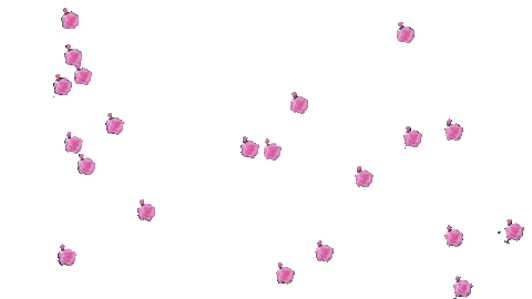 70cc6f172db1065a2a4a91ce1d2b7dca.gif