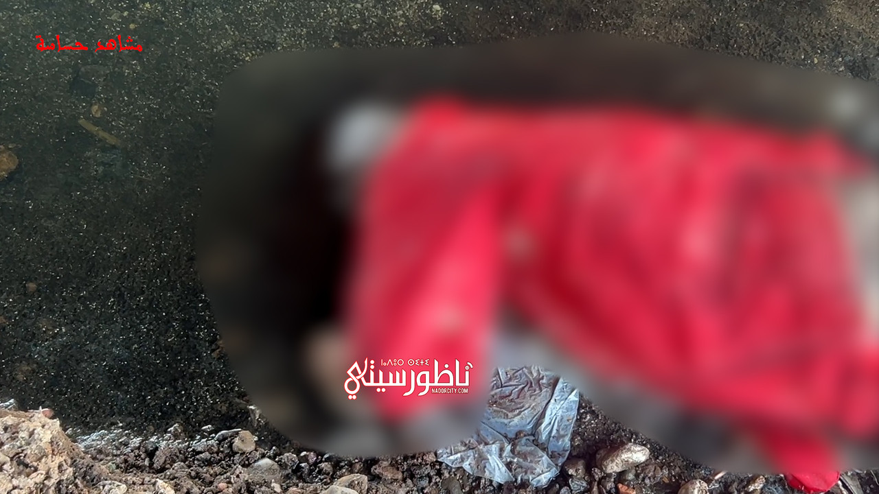 Sequence-01-00-00-05-09-Still002