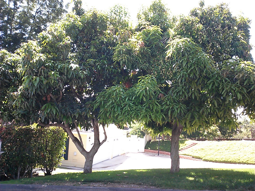 CAM00537