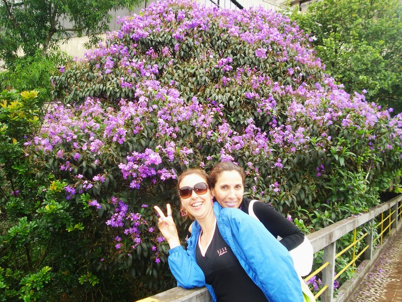 Blumenau-6-3-2010 - Brasil y sus pueblos-2010 (39)