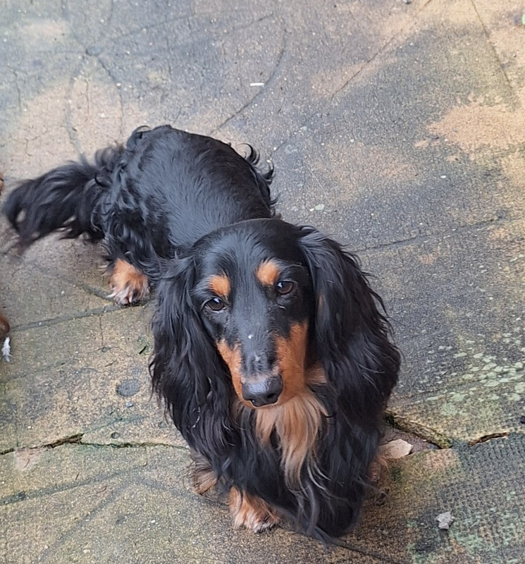 [Image: 20250110-150424.jpg]