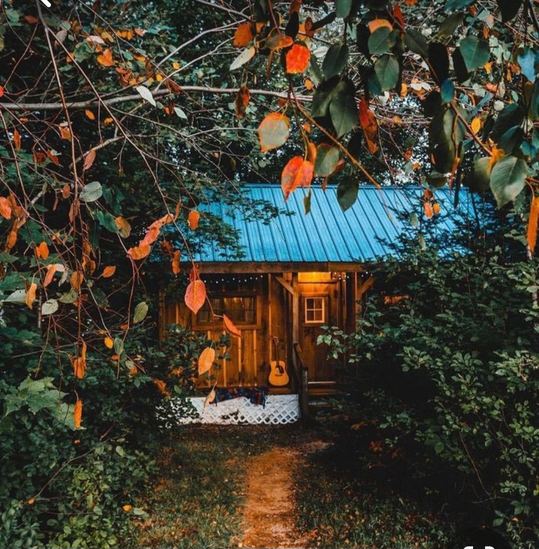 Screenshot_20231127_223857_Pinterest