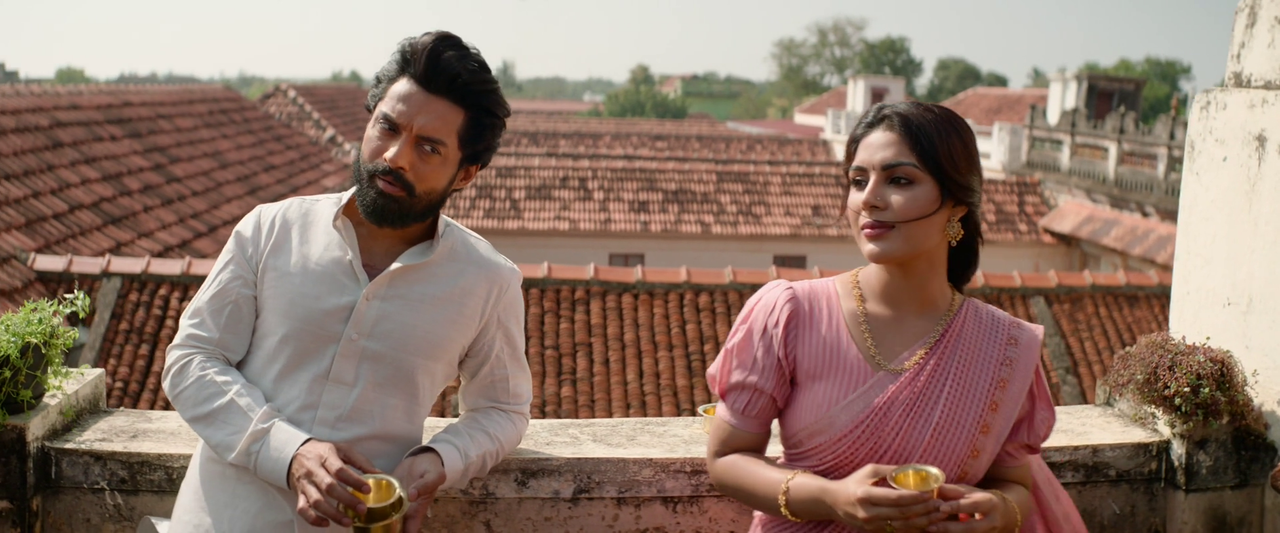 vlcsnap-2024-01-14-10h49m24s550