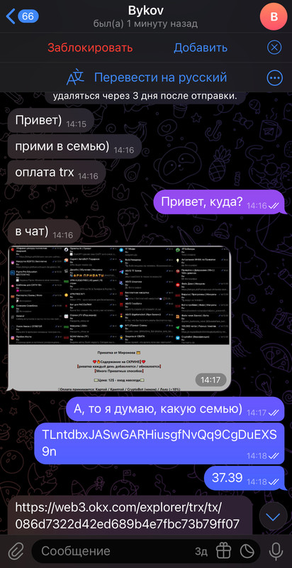 IMG-7281.jpg