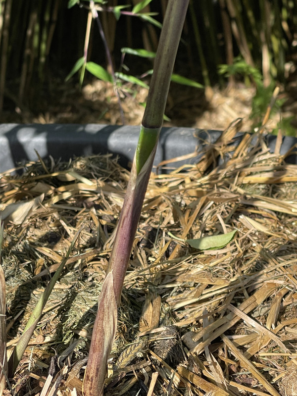 E817C1B3-BAB4-4C0A-BBF7-2534A002D012