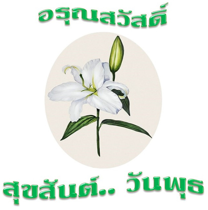 อรุณสวัสดิ์ วันพุธ  14