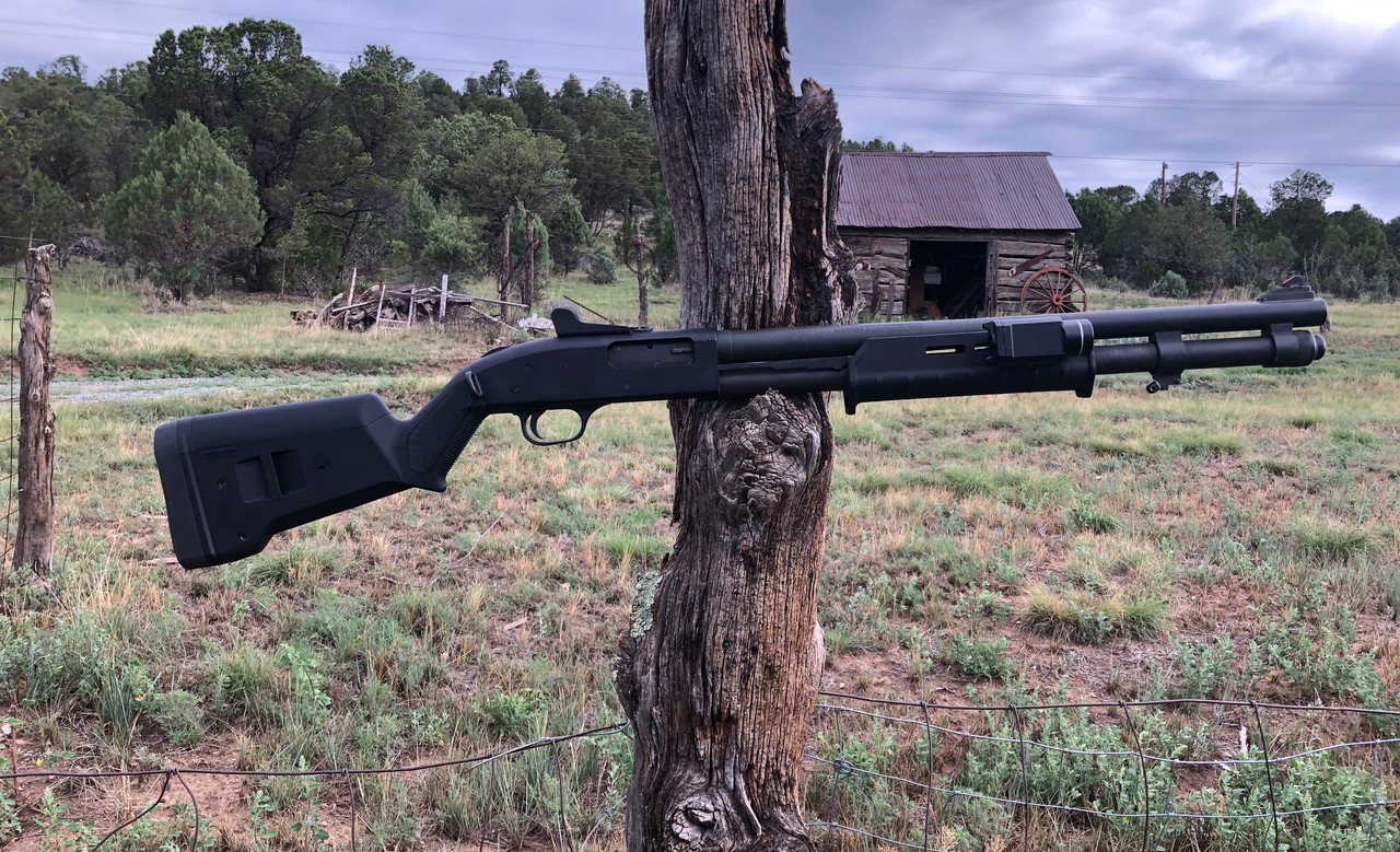 153BE0A1-A2C4-4B5A-988E-0AFEB7AF2214