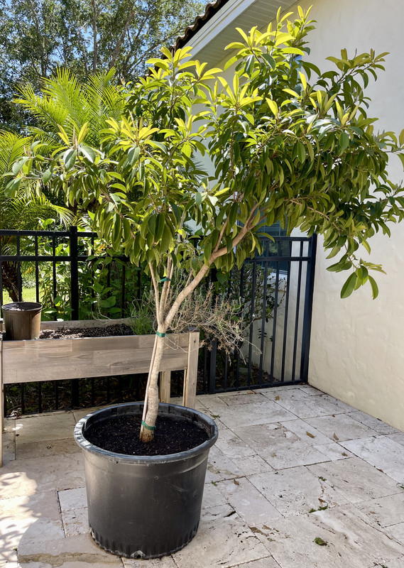 FF491FC0-A3E0-45B8-BE42-5A559187696C