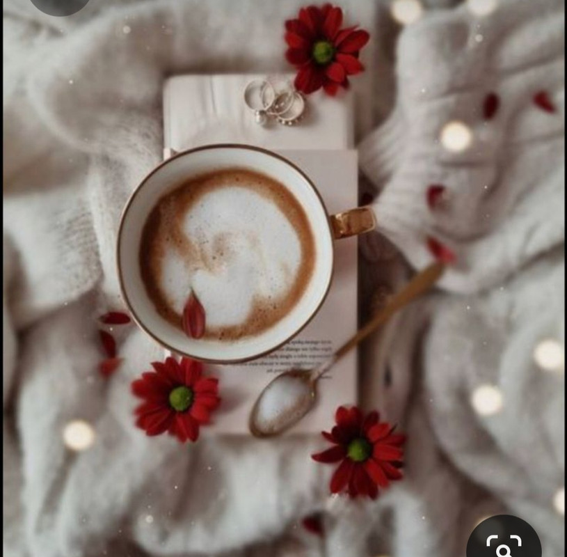 Screenshot_20230731_233805_Pinterest