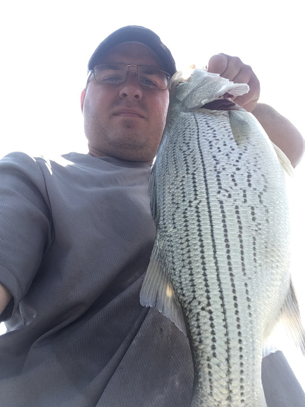 ABD2E0ED-1C5B-4A57-98D3-6AEB79C64789