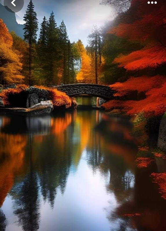 Screenshot_20240218_210512_Pinterest