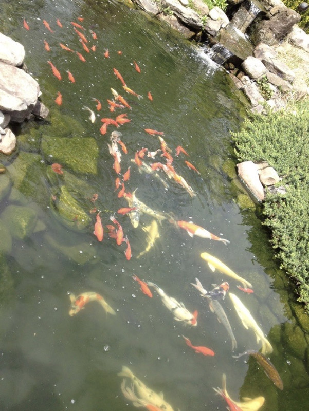 B1DE8152-E89C-457B-8D2C-1E70990DB080