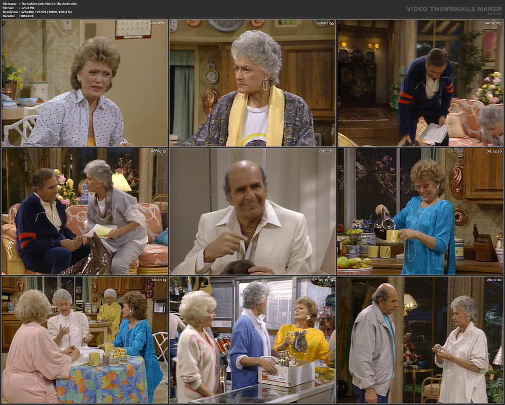 The Golden Girls S03E10 The Audit.mkv