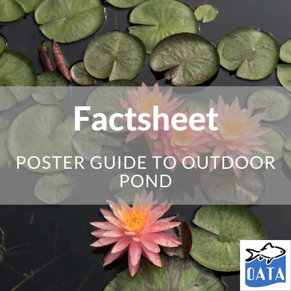 OATA Pond Factsheet - Lincs Aquatics