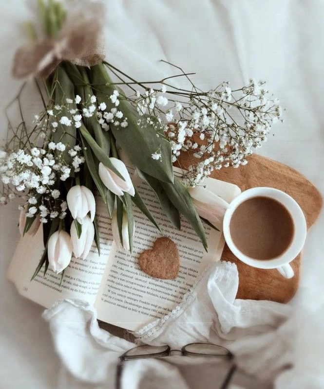 d18be543b49238a3bcbcf47581fc3c34