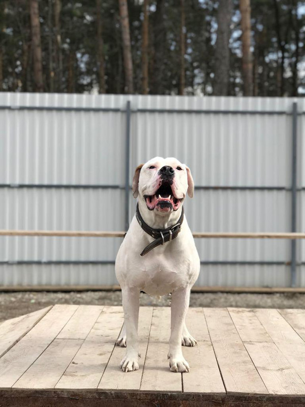 EC5937E3-4363-4285-B7BC-4FBAE88BDBA0