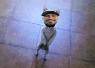 dkdg.gif