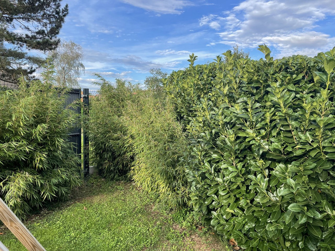 CF30D83C-B609-46CE-A1D6-724D7EACC712