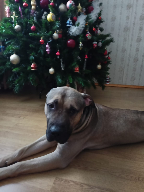 1516DBB7-A731-49E5-9DB4-0531C276AE21