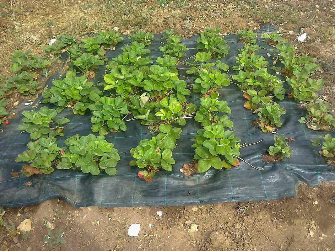 foto0158